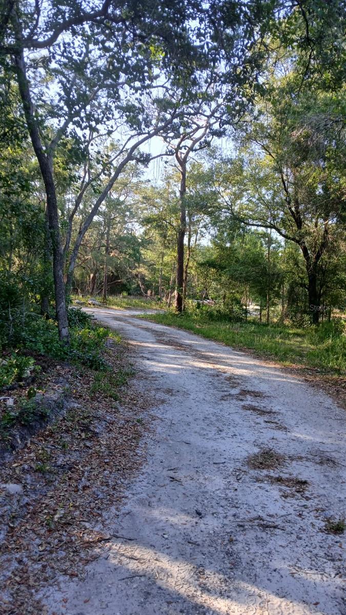 0 AND TBD, WEBSTER, FL — photo 2