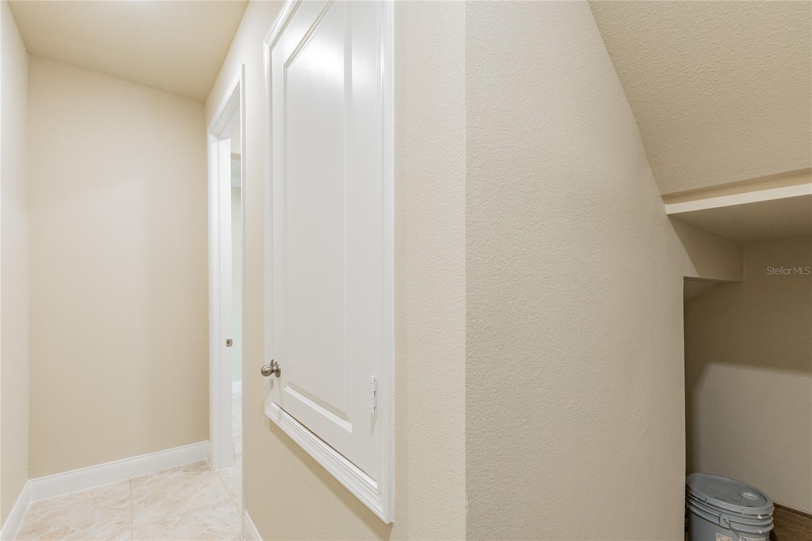 8278 PROCIDA ISLE LN, WINDERMERE, FL — photo 14