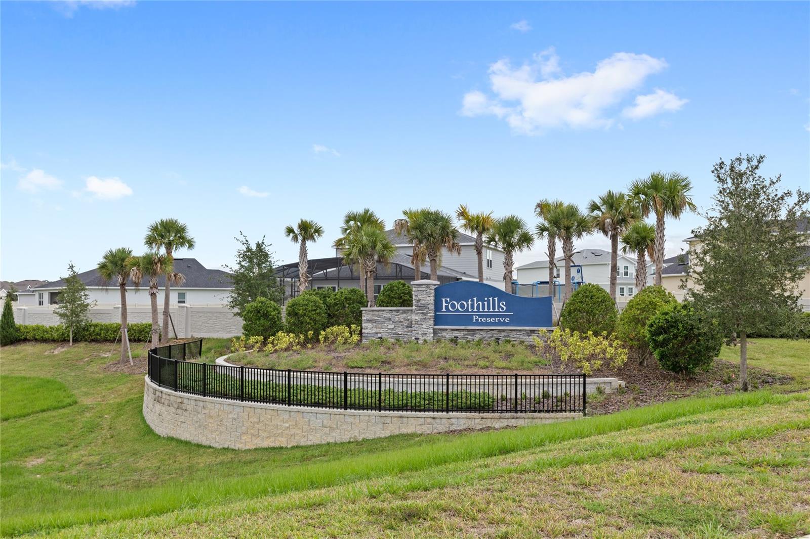 5269 FOOTHILLS PRESERVE LOOP, MOUNT DORA, FL — photo 38