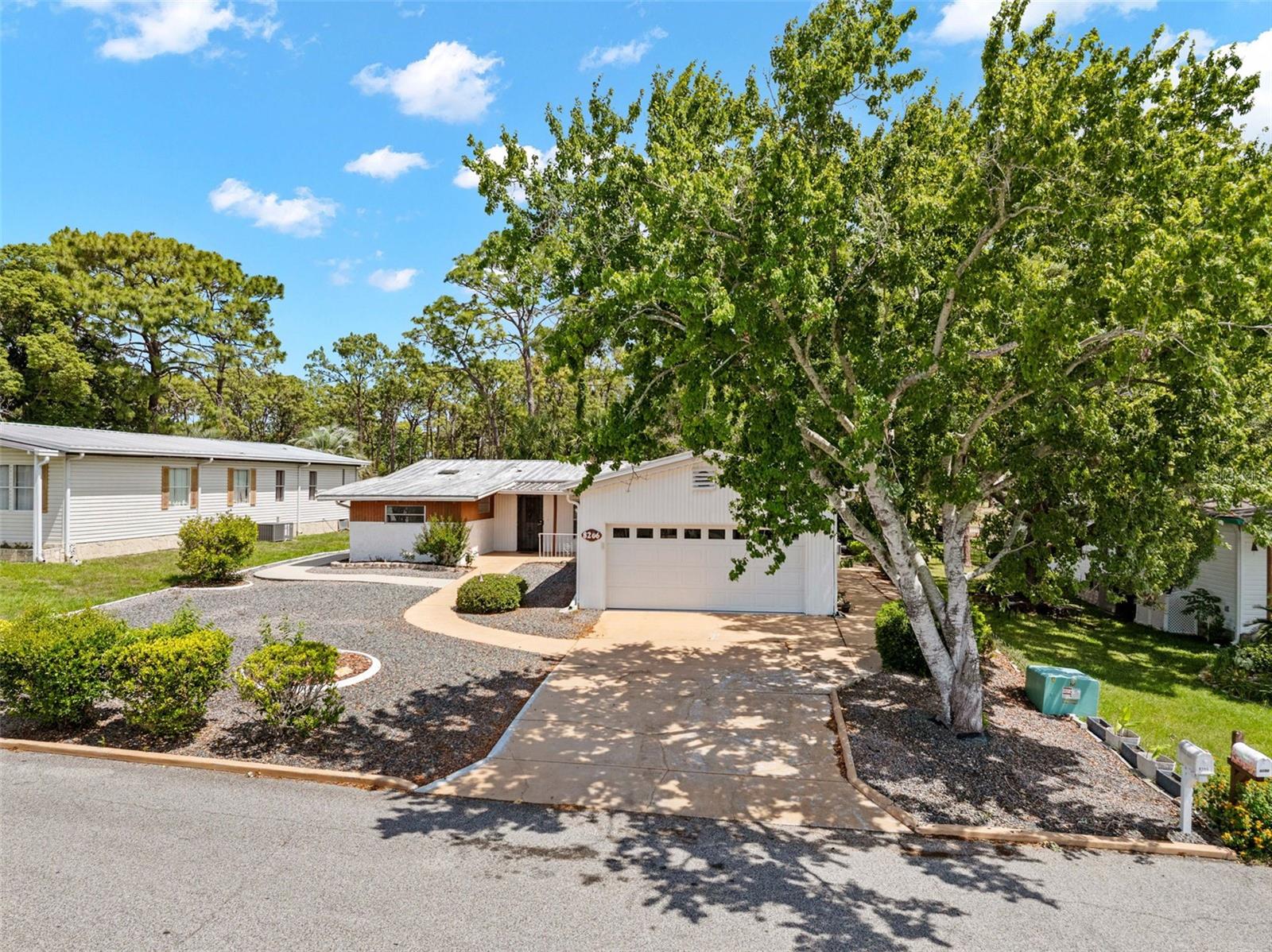 8206 COUNTRY CLUB DR, BROOKSVILLE, FL — photo 50