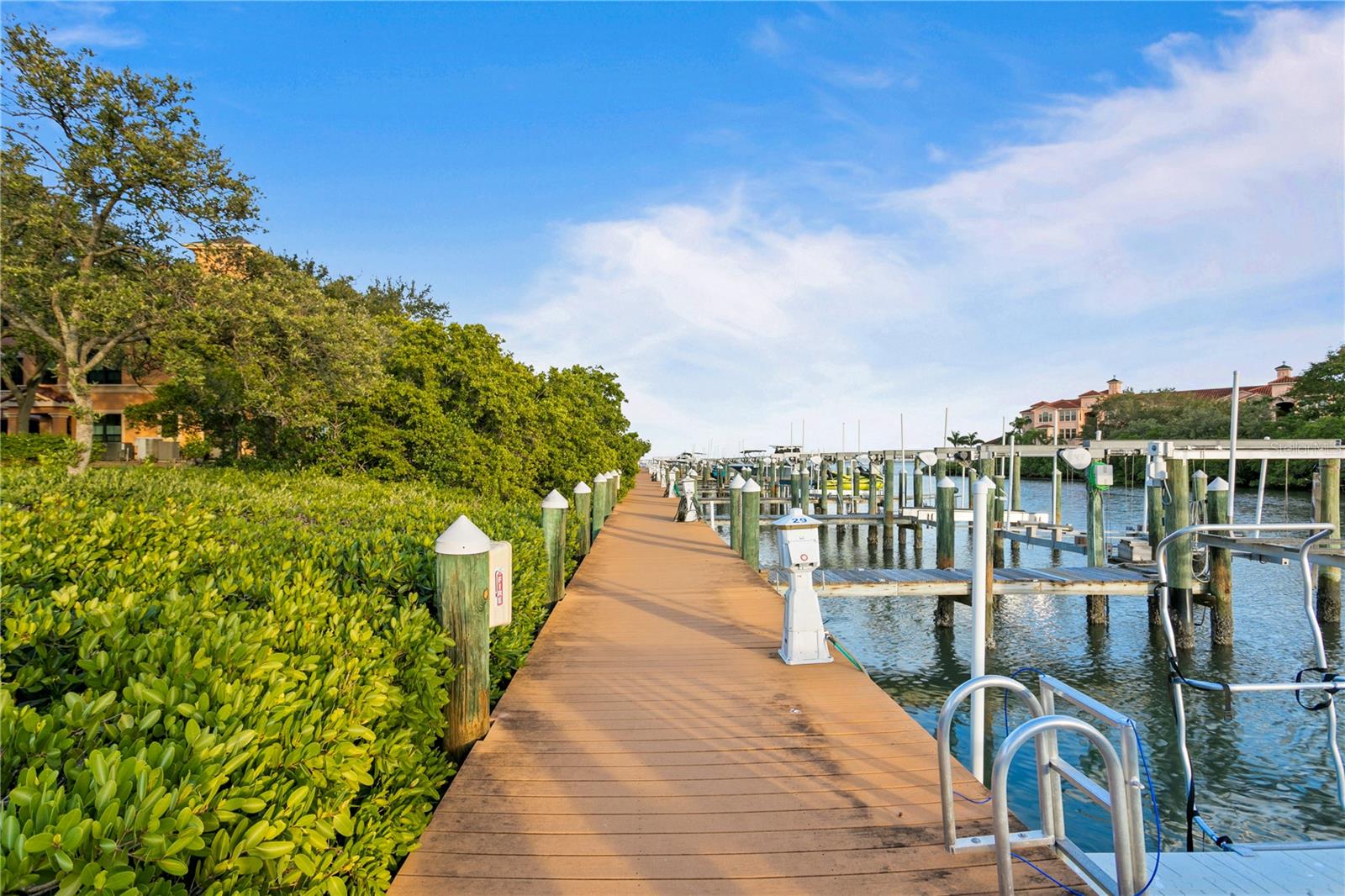 2741 VIA CIPRIANI #914A, CLEARWATER, FL — photo 60