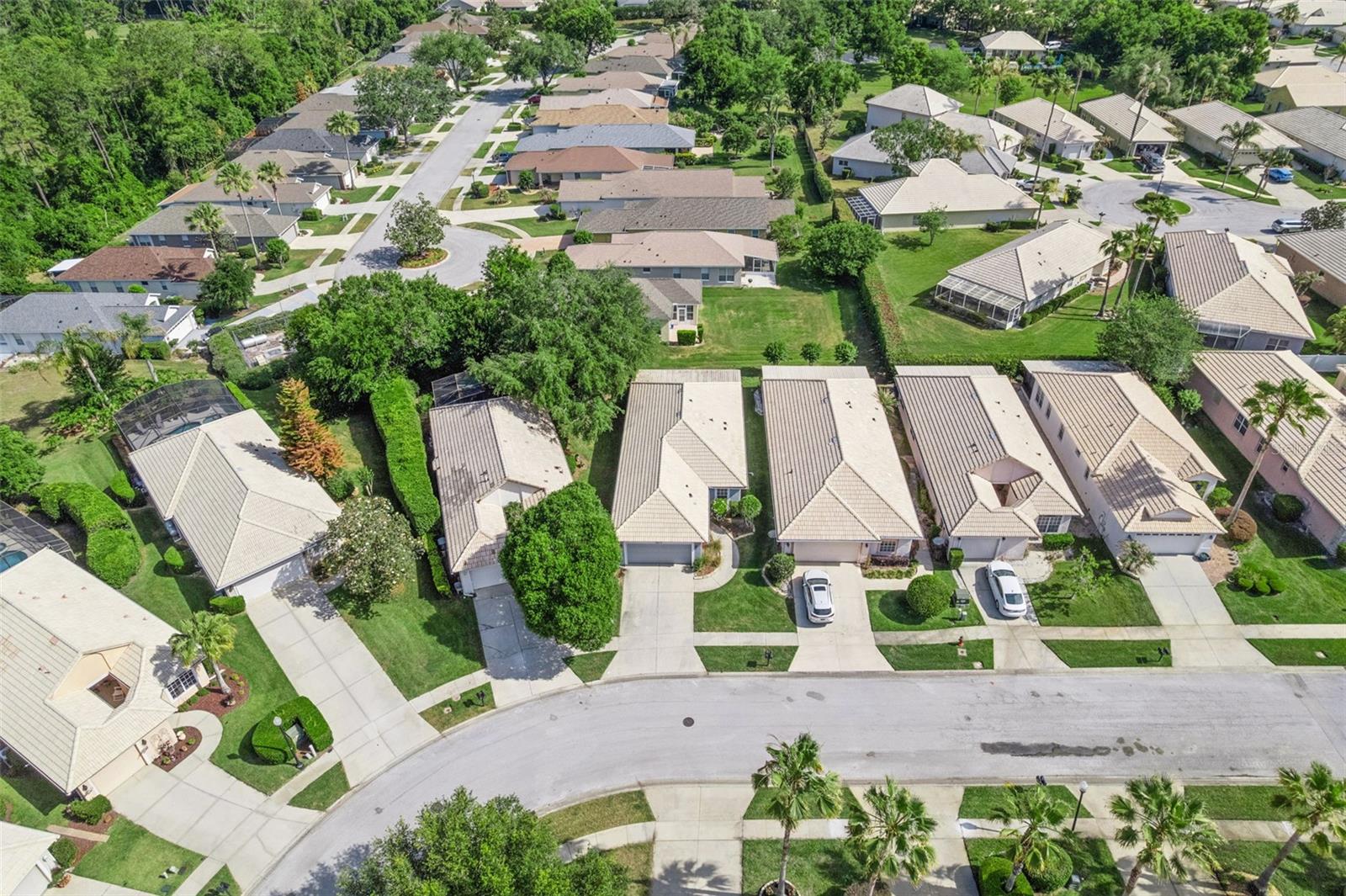 9073 SAINT ANDREWS WAY, MOUNT DORA, FL — photo 48