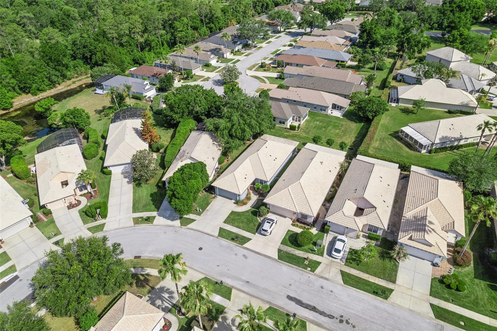 9073 SAINT ANDREWS WAY, MOUNT DORA, FL — photo 51