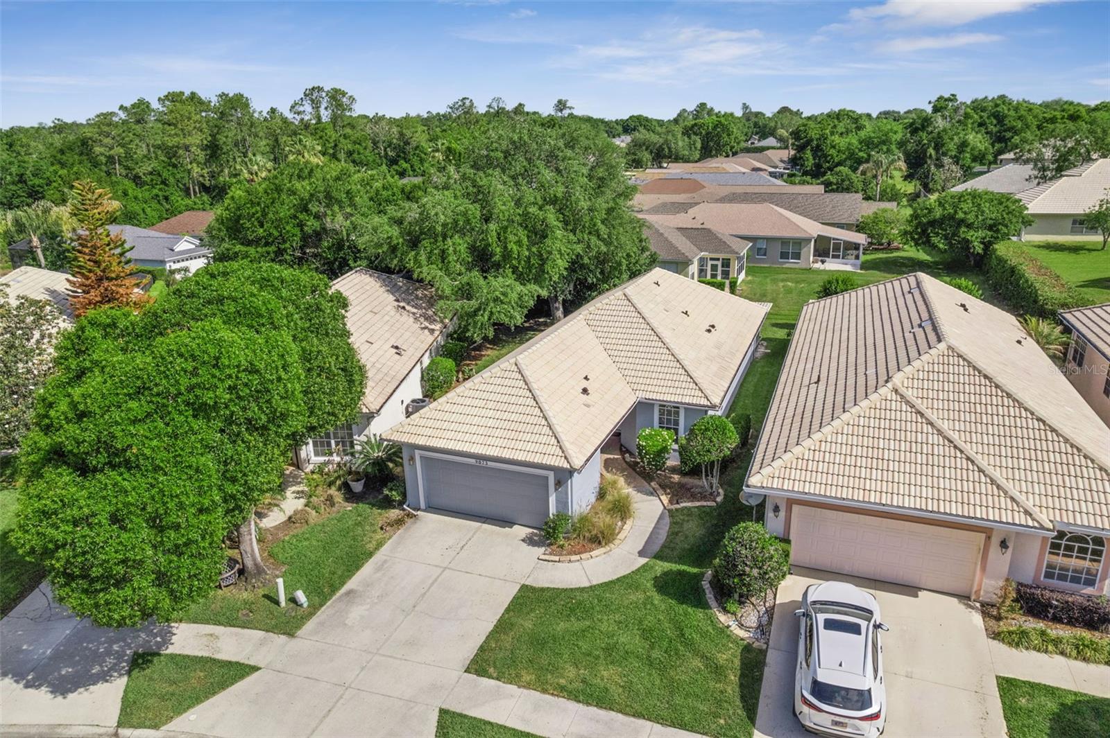 9073 SAINT ANDREWS WAY, MOUNT DORA, FL — photo 62
