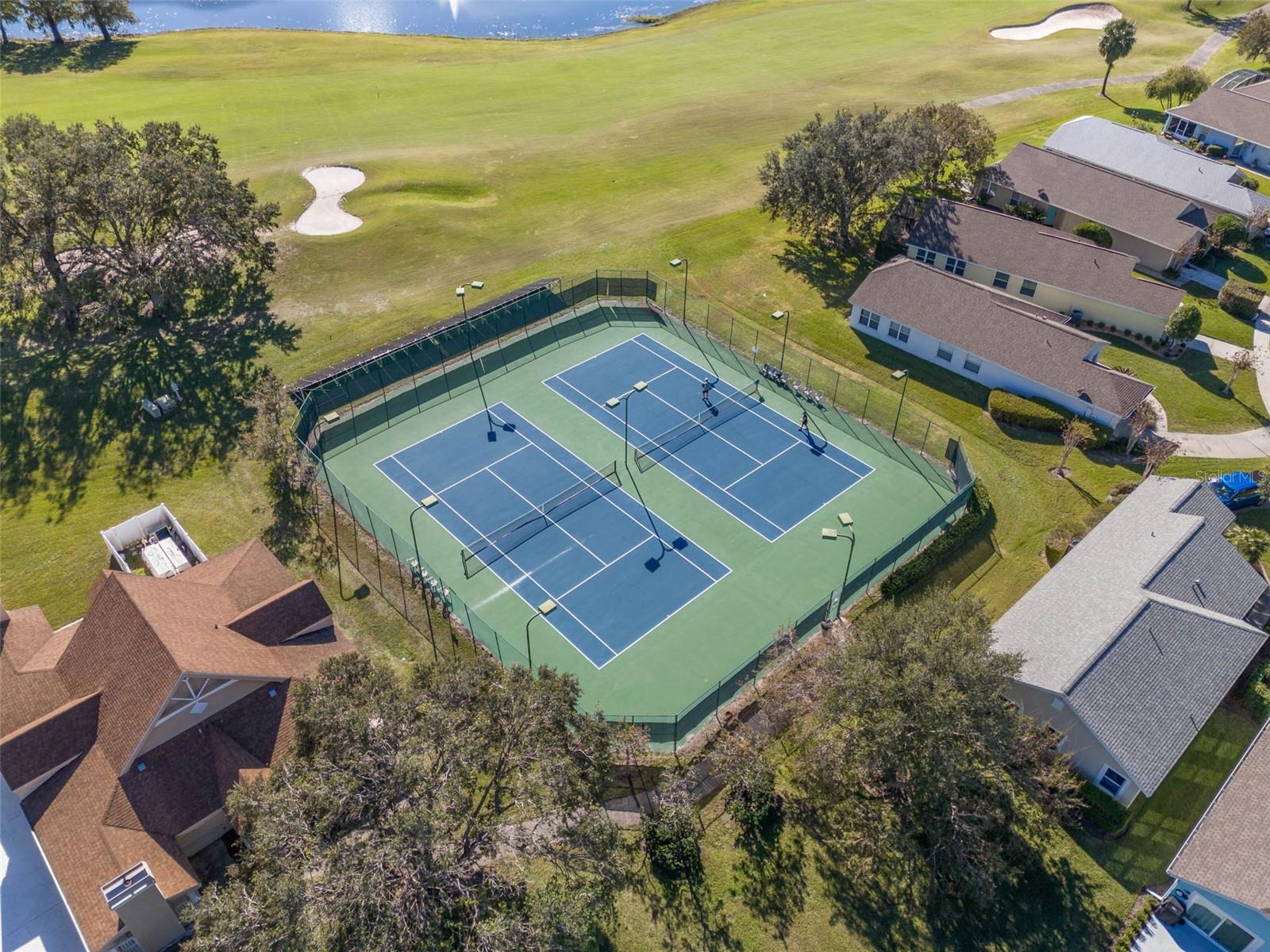 9073 SAINT ANDREWS WAY, MOUNT DORA, FL — photo 70