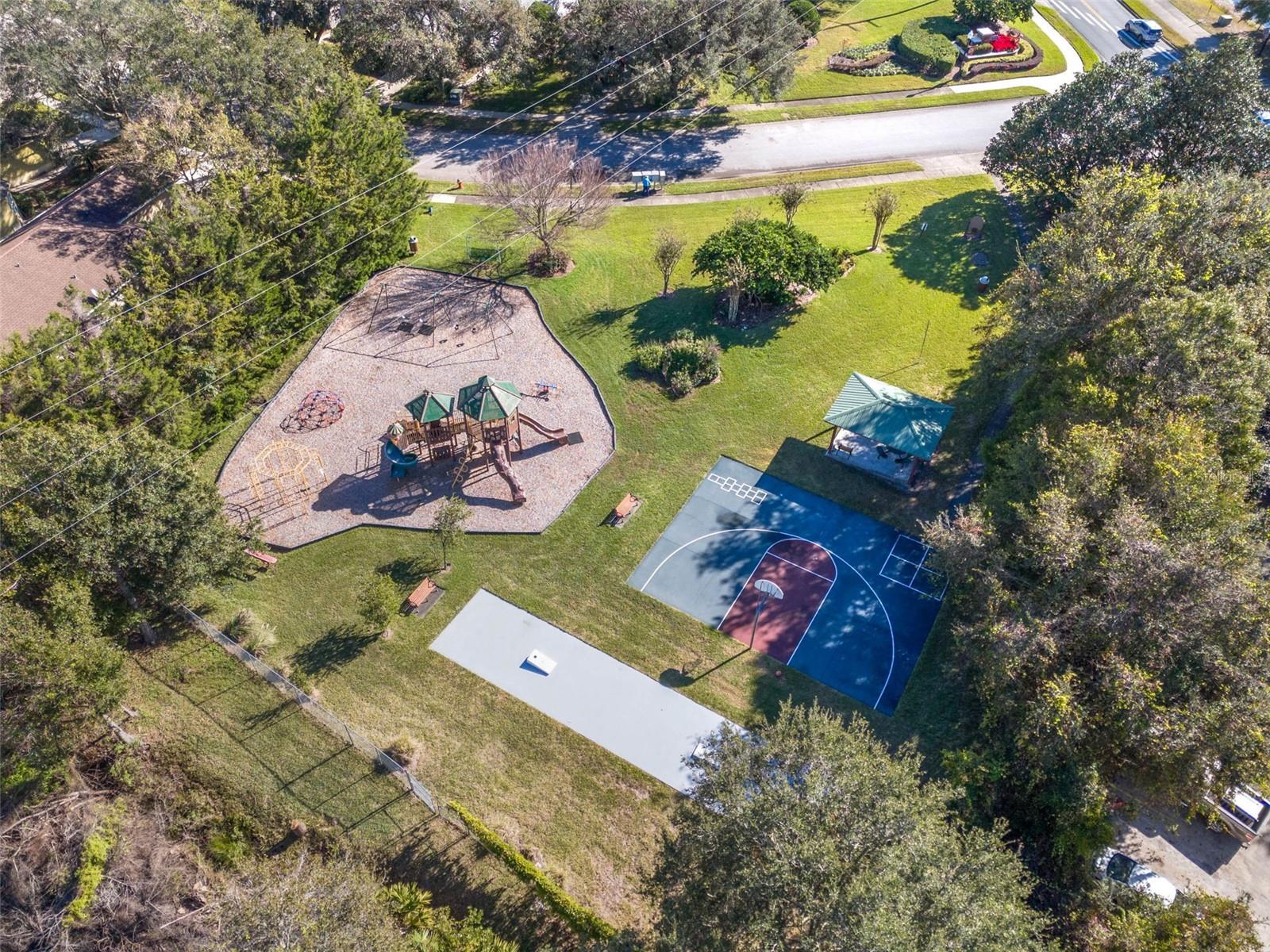 9073 SAINT ANDREWS WAY, MOUNT DORA, FL — photo 83