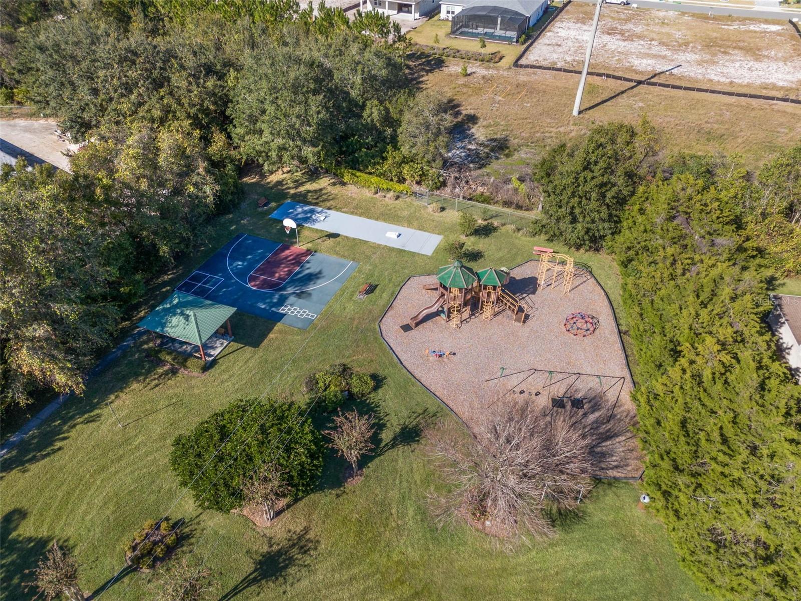 9073 SAINT ANDREWS WAY, MOUNT DORA, FL — photo 85