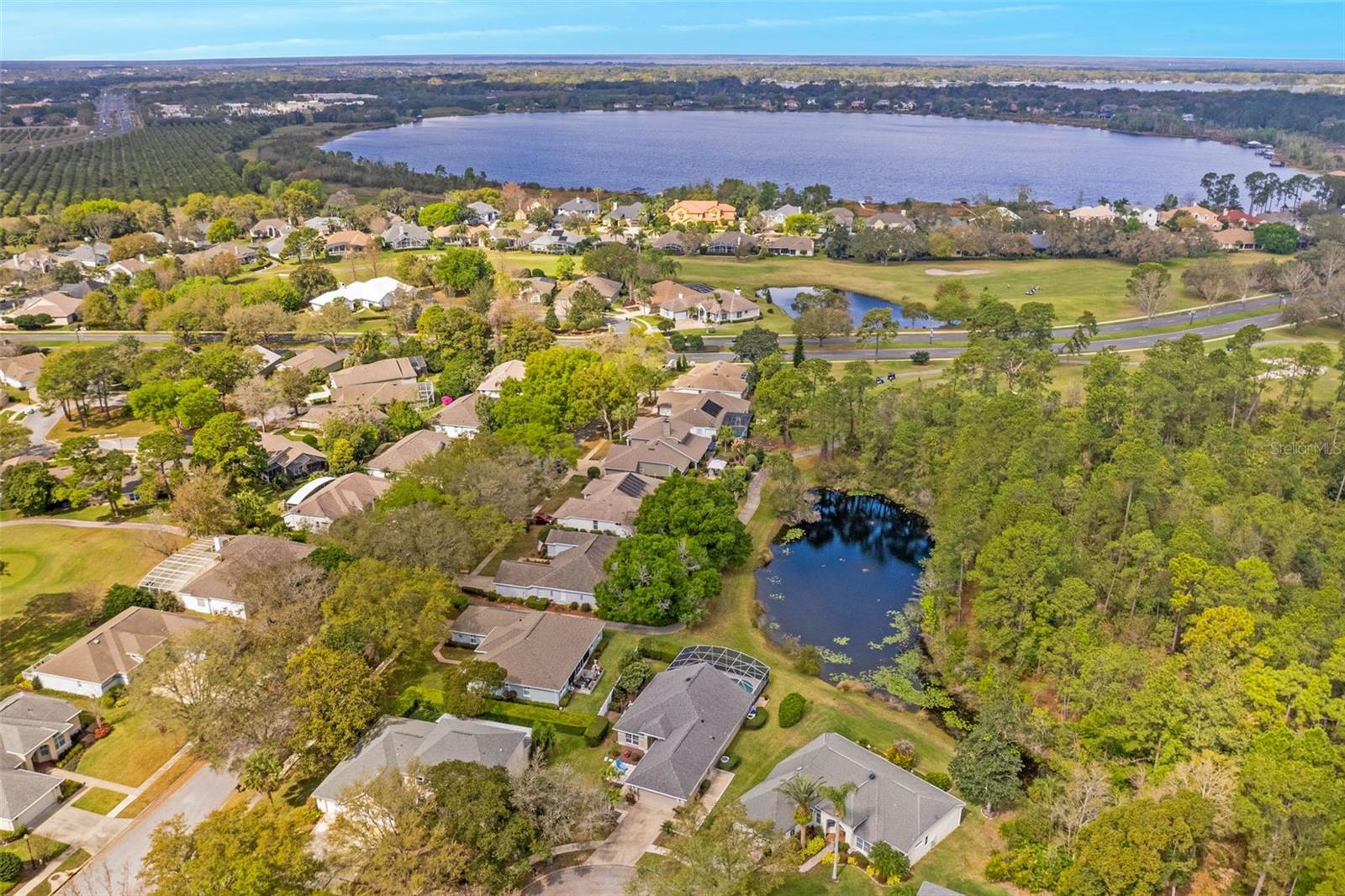 9073 SAINT ANDREWS WAY, MOUNT DORA, FL — photo 88