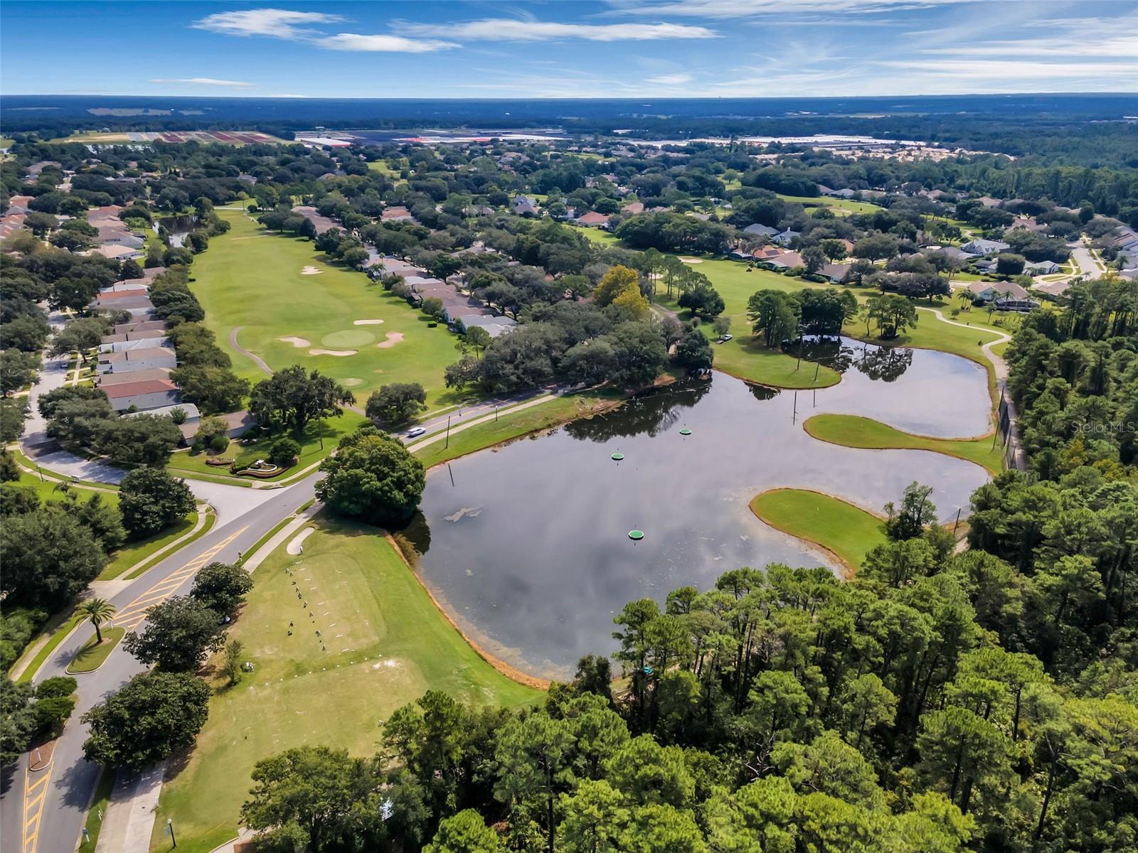 9073 SAINT ANDREWS WAY, MOUNT DORA, FL — photo 92