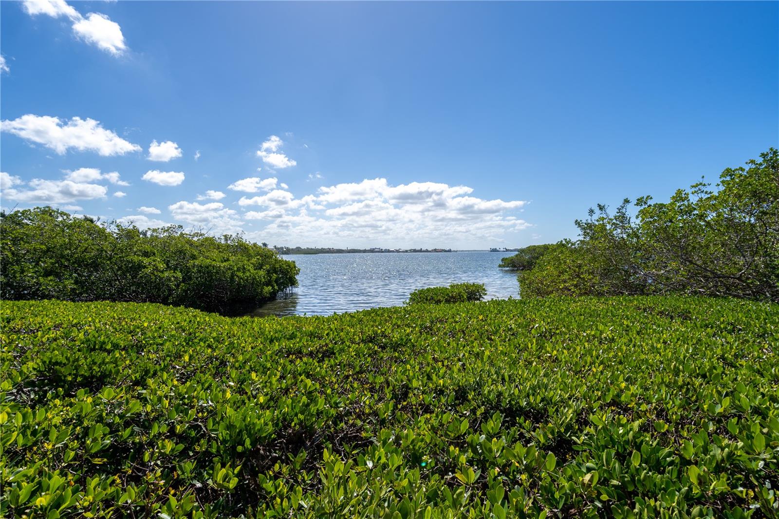 1624 STICKNEY POINT RD #1624-208, SARASOTA, FL — photo 56