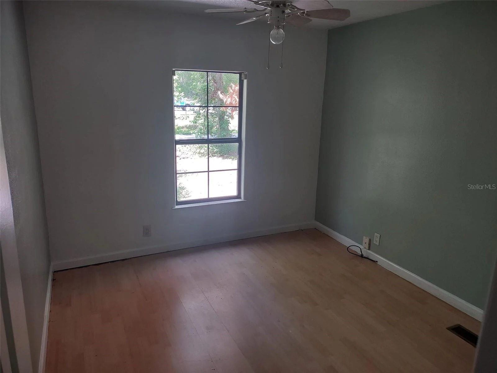 56508 BLUE CREEK RD, ASTOR, FL — photo 71