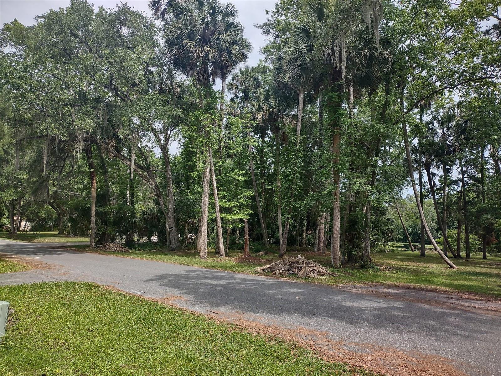 56508 BLUE CREEK RD, ASTOR, FL — photo 100