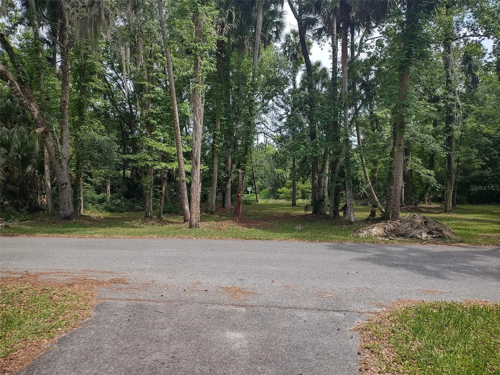 56508 BLUE CREEK RD, ASTOR, FL — photo 102