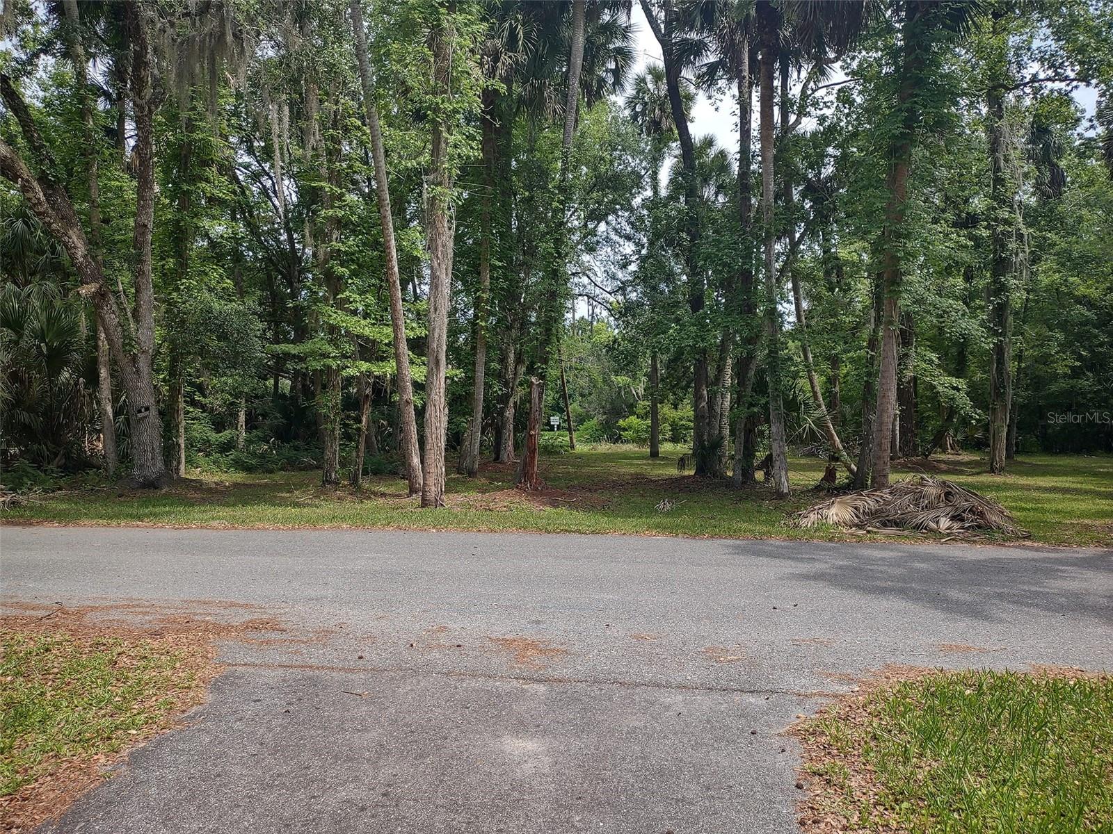 56508 BLUE CREEK RD, ASTOR, FL — photo 101