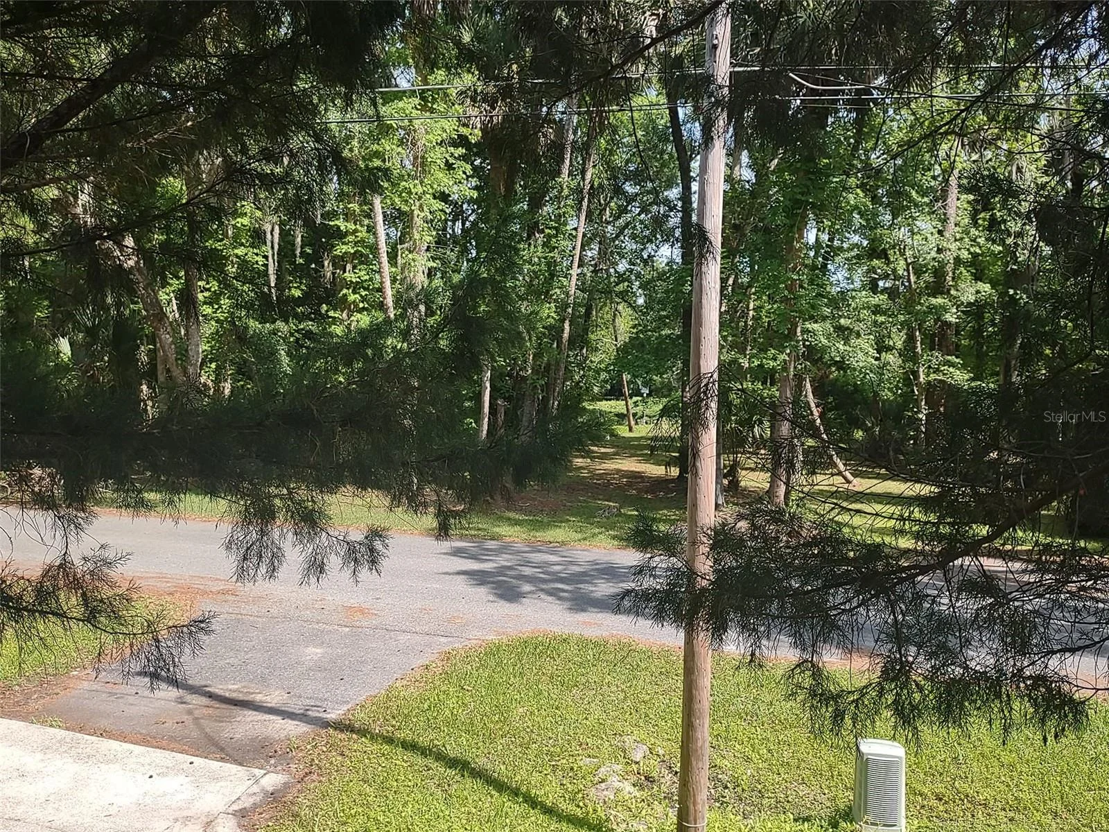 56508 BLUE CREEK RD, ASTOR, FL — photo 104