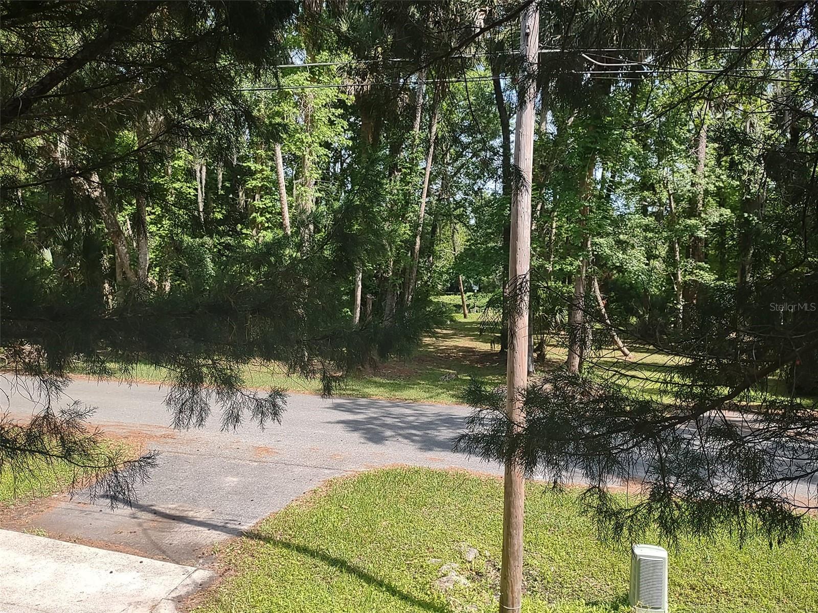 56508 BLUE CREEK RD, ASTOR, FL — photo 103
