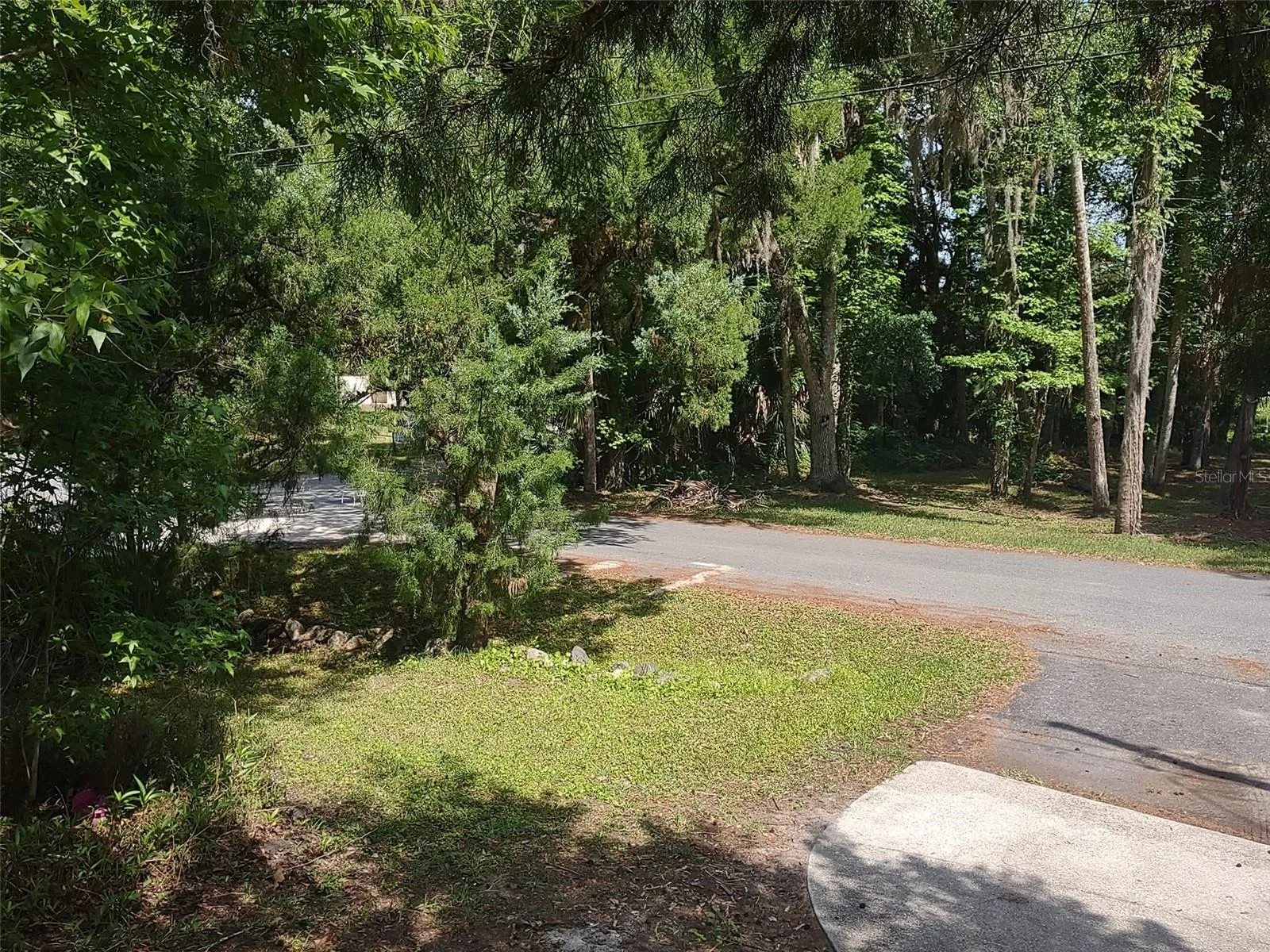 56508 BLUE CREEK RD, ASTOR, FL — photo 106