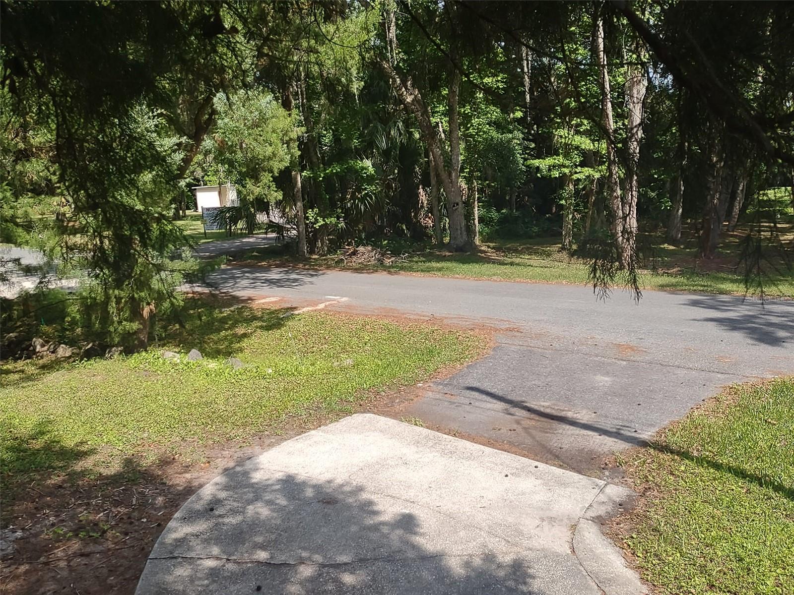 56508 BLUE CREEK RD, ASTOR, FL — photo 107