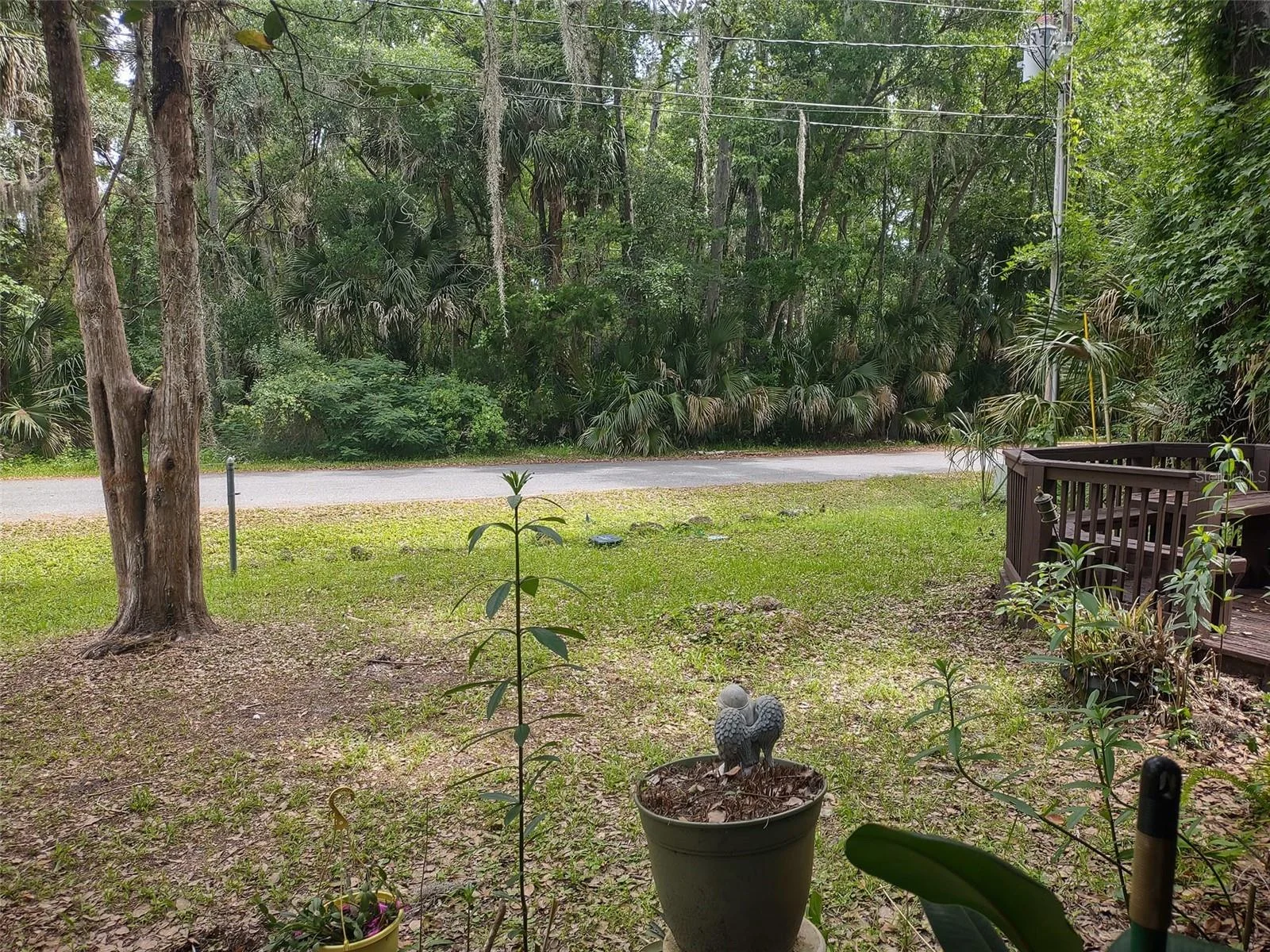 56508 BLUE CREEK RD, ASTOR, FL — photo 109