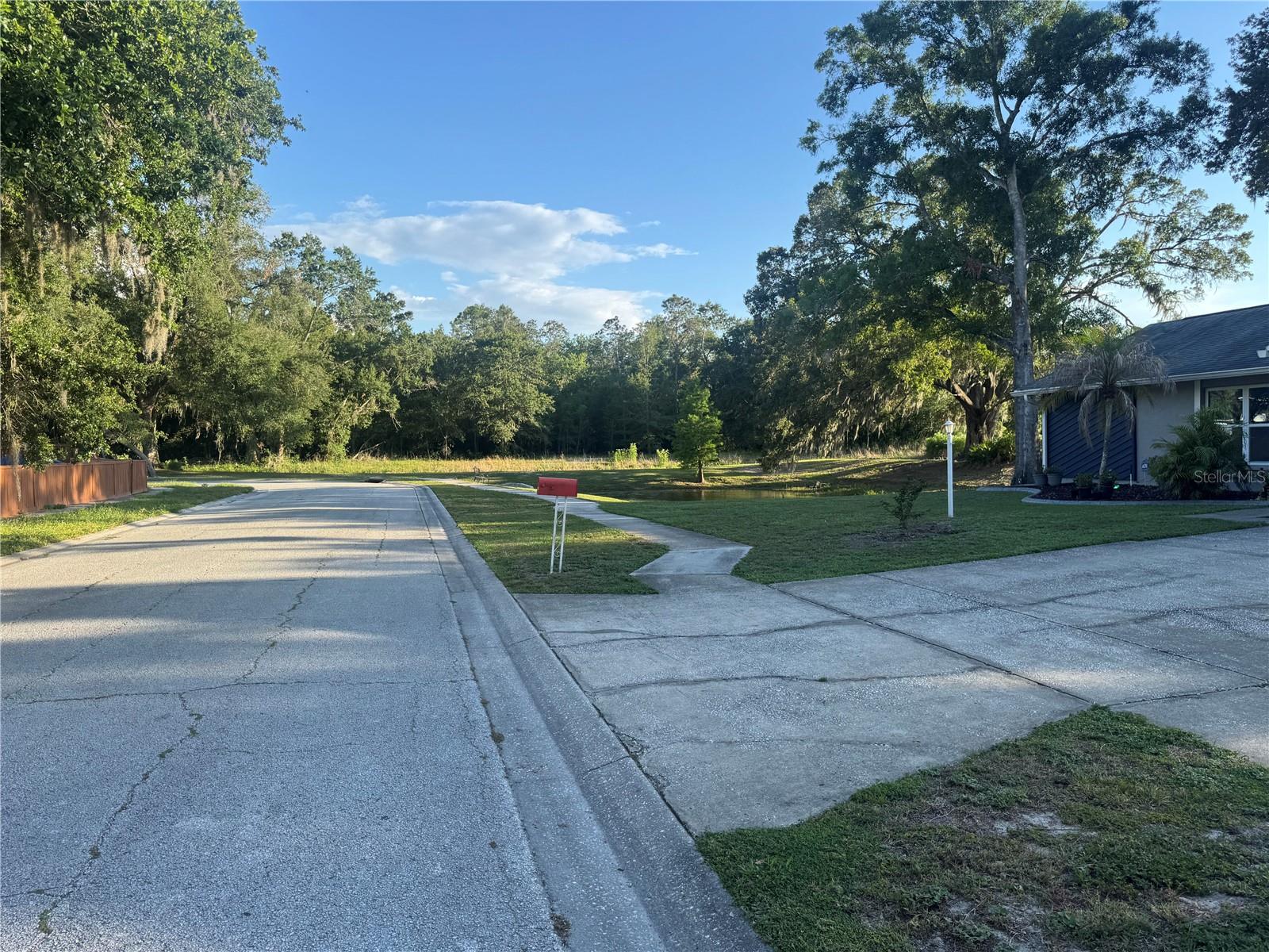 2376 WINDSOR OAKS AVE, LUTZ, FL — photo 2