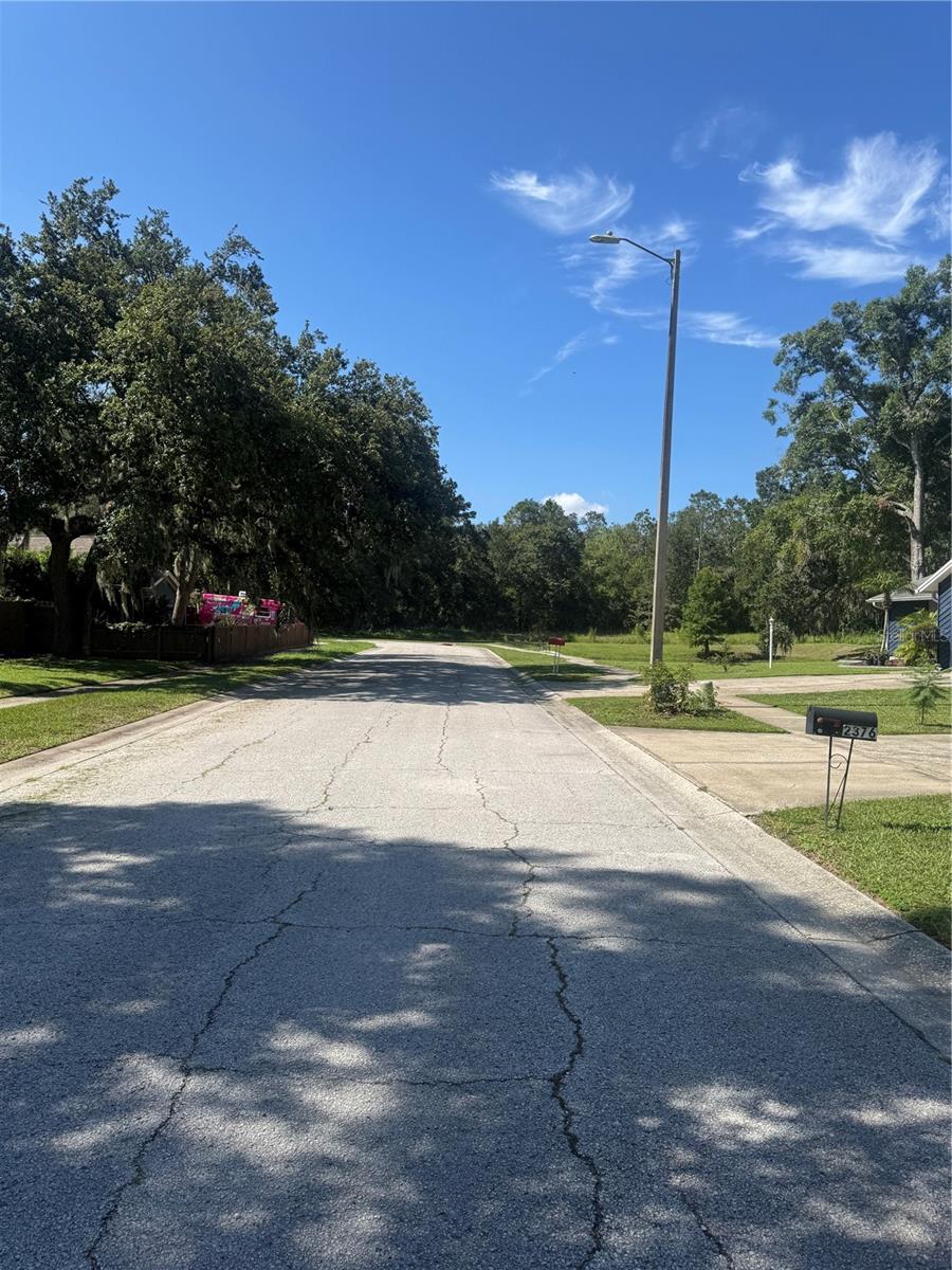 2376 WINDSOR OAKS AVE, LUTZ, FL — photo 39