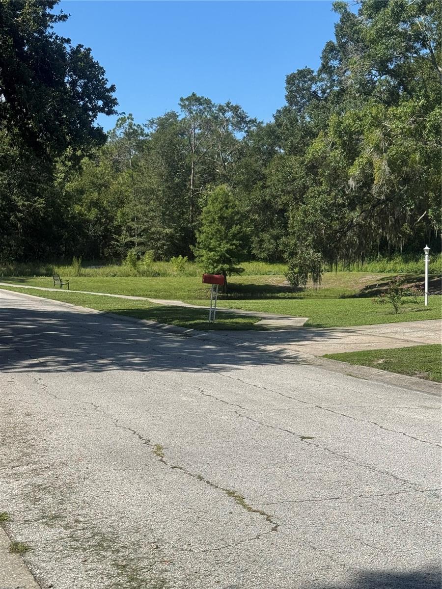 2376 WINDSOR OAKS AVE, LUTZ, FL — photo 40