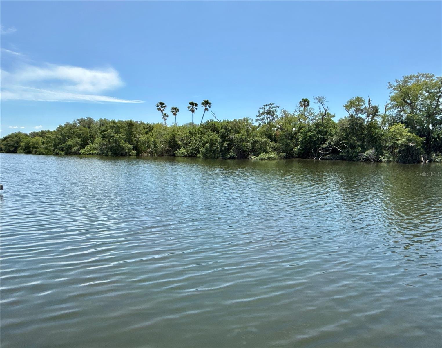 460 MOUNT OAK AVE NE #745, ST PETERSBURG, FL — photo 28