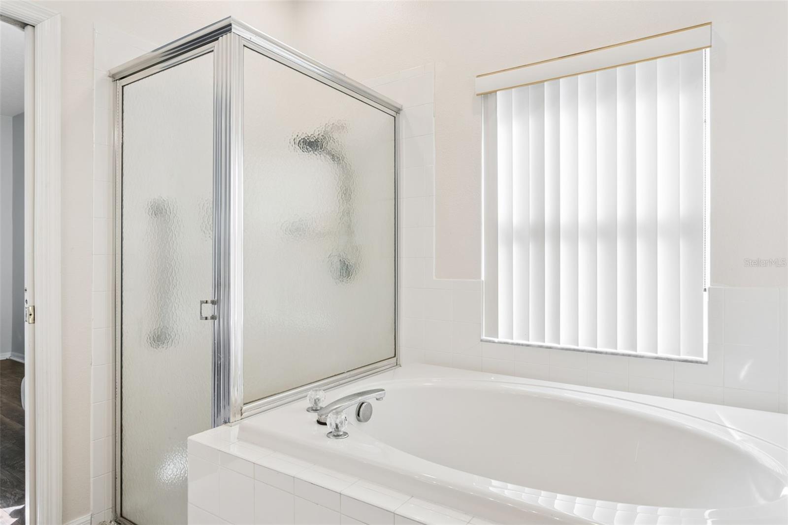 2925 BANYAN HILL LN, LAND O LAKES, FL — photo 20