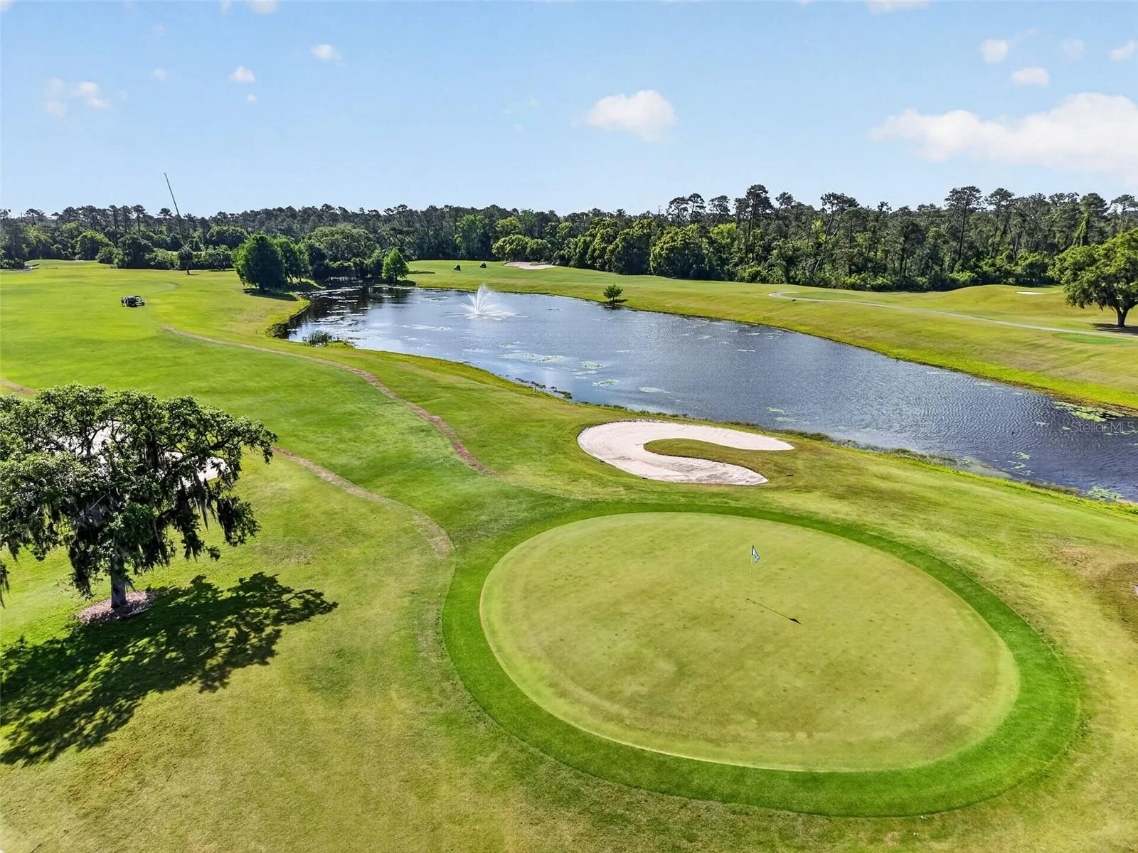 8041 SAINT JAMES WAY, MOUNT DORA, FL — photo 39