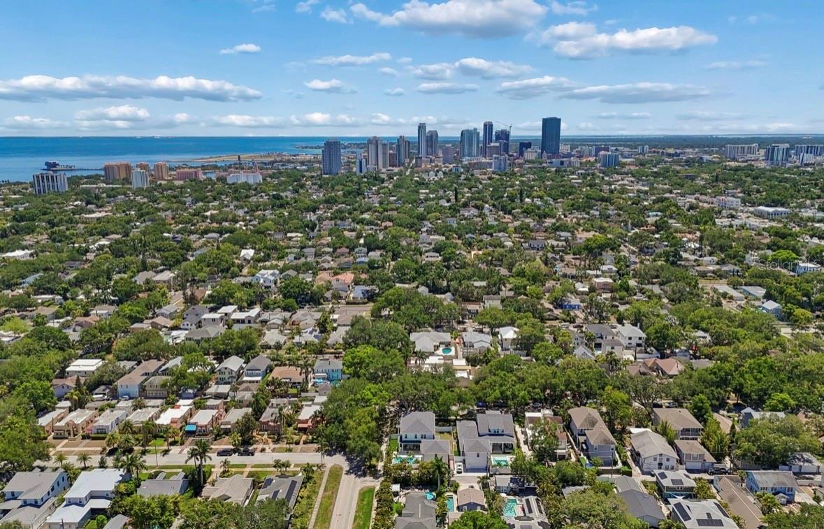 1820 1ST ST N, ST PETERSBURG, FL — photo 98