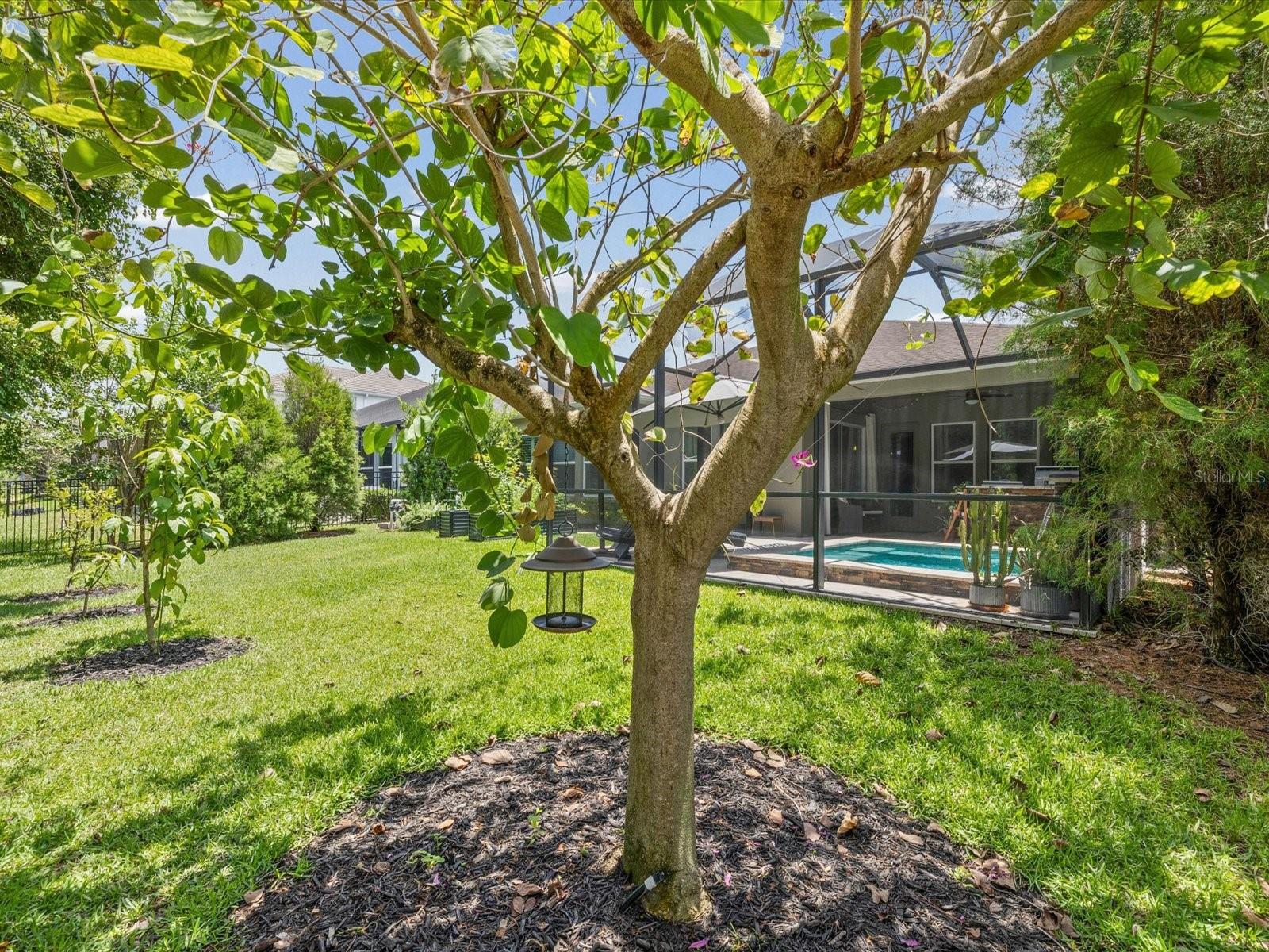 3719 WICKET FIELD RD, LUTZ, FL — photo 46