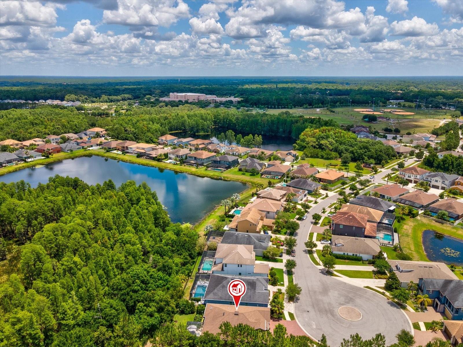 3719 WICKET FIELD RD, LUTZ, FL — photo 49