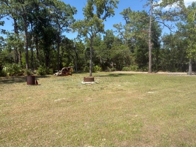 40145 W 7TH AVE, UMATILLA, FL — photo 83