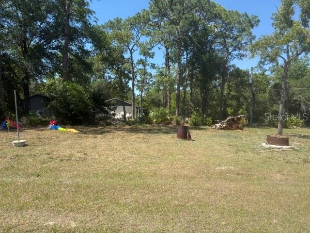 40145 W 7TH AVE, UMATILLA, FL — photo 85