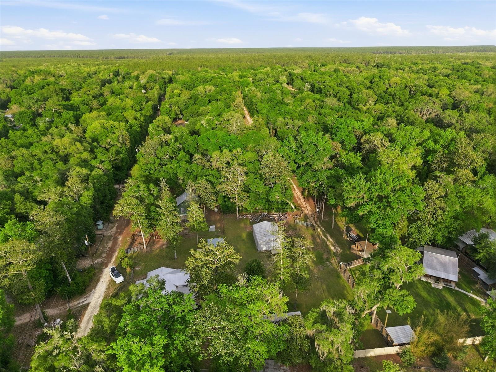 14350 NE 191ST ST, FORT MC COY, FL — photo 58