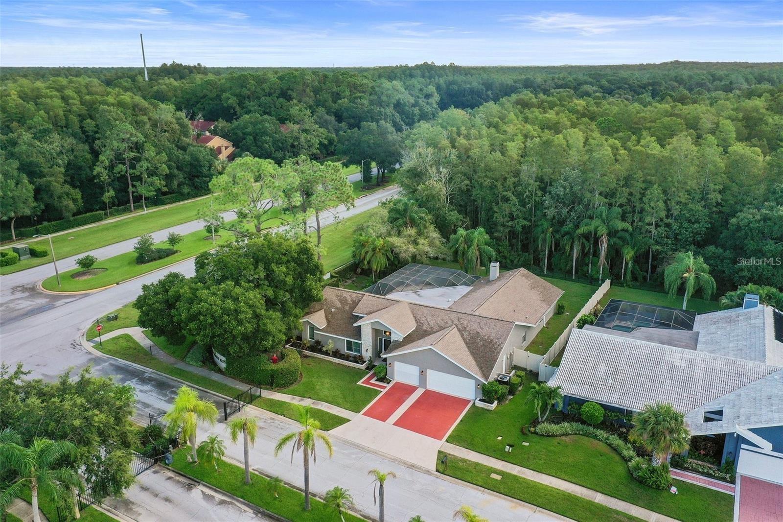 3297 VALEMOOR DR, PALM HARBOR, FL — photo 31
