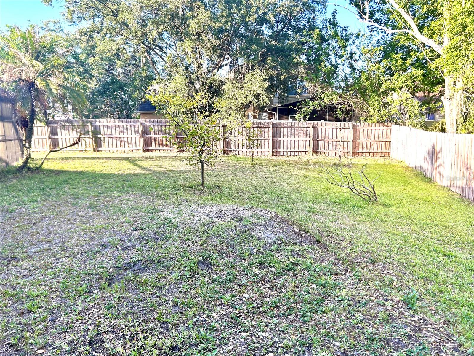 1729 BUCKHORN PL, ORLANDO, FL — photo 66