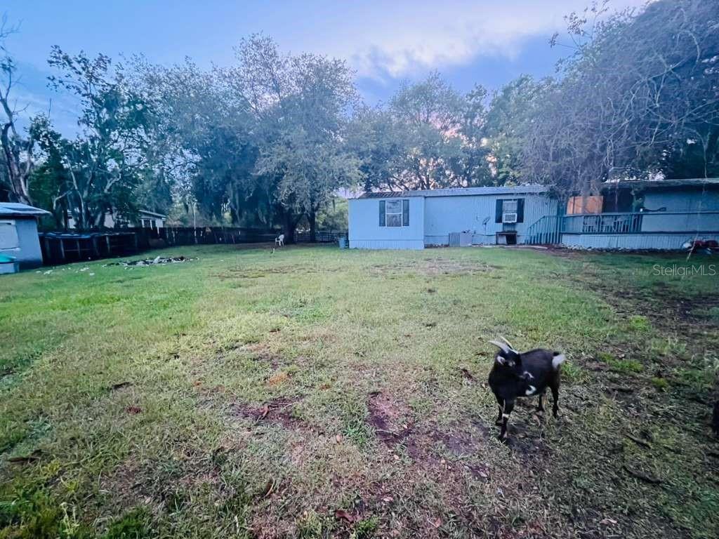 3225 PACKARD AVE, ST CLOUD, FL — photo 4