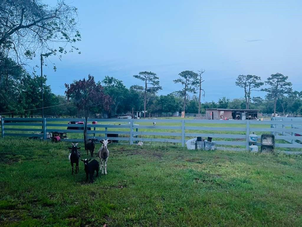 3225 PACKARD AVE, ST CLOUD, FL — photo 7