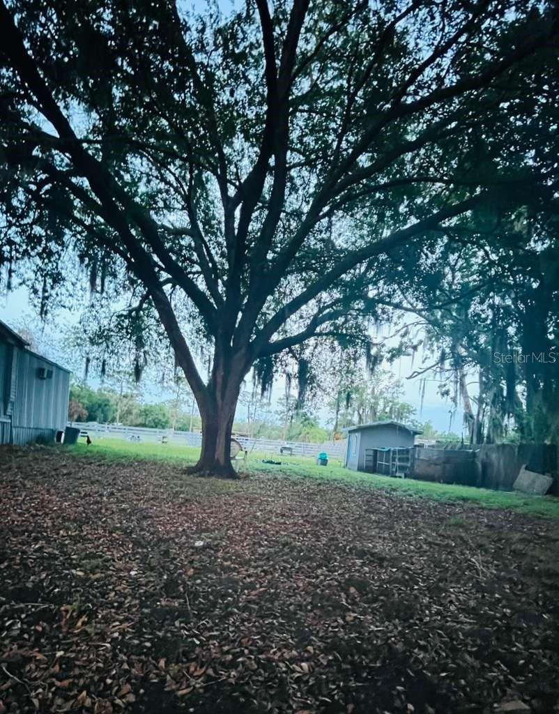 3225 PACKARD AVE, ST CLOUD, FL — photo 16