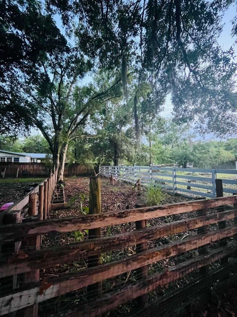 3225 PACKARD AVE, ST CLOUD, FL — photo 39