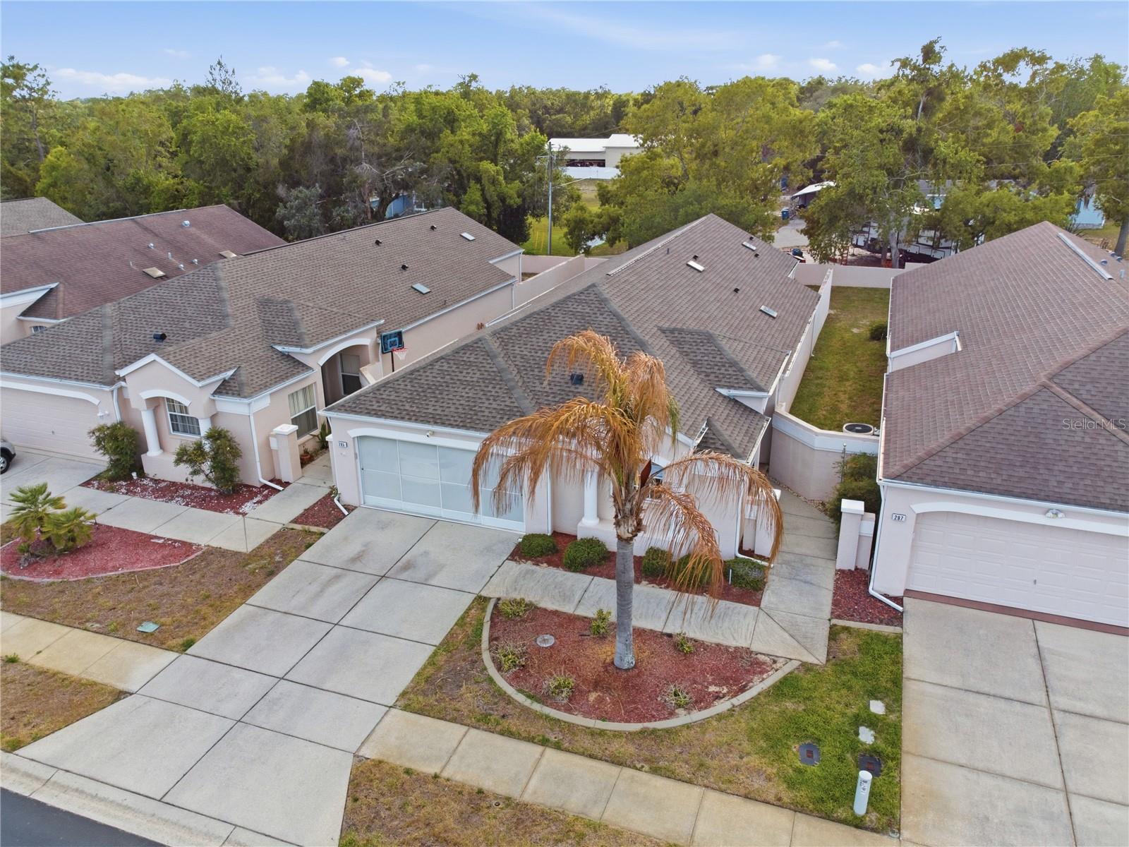 295 ROYAL PALM WAY, SPRING HILL, FL — photo 41