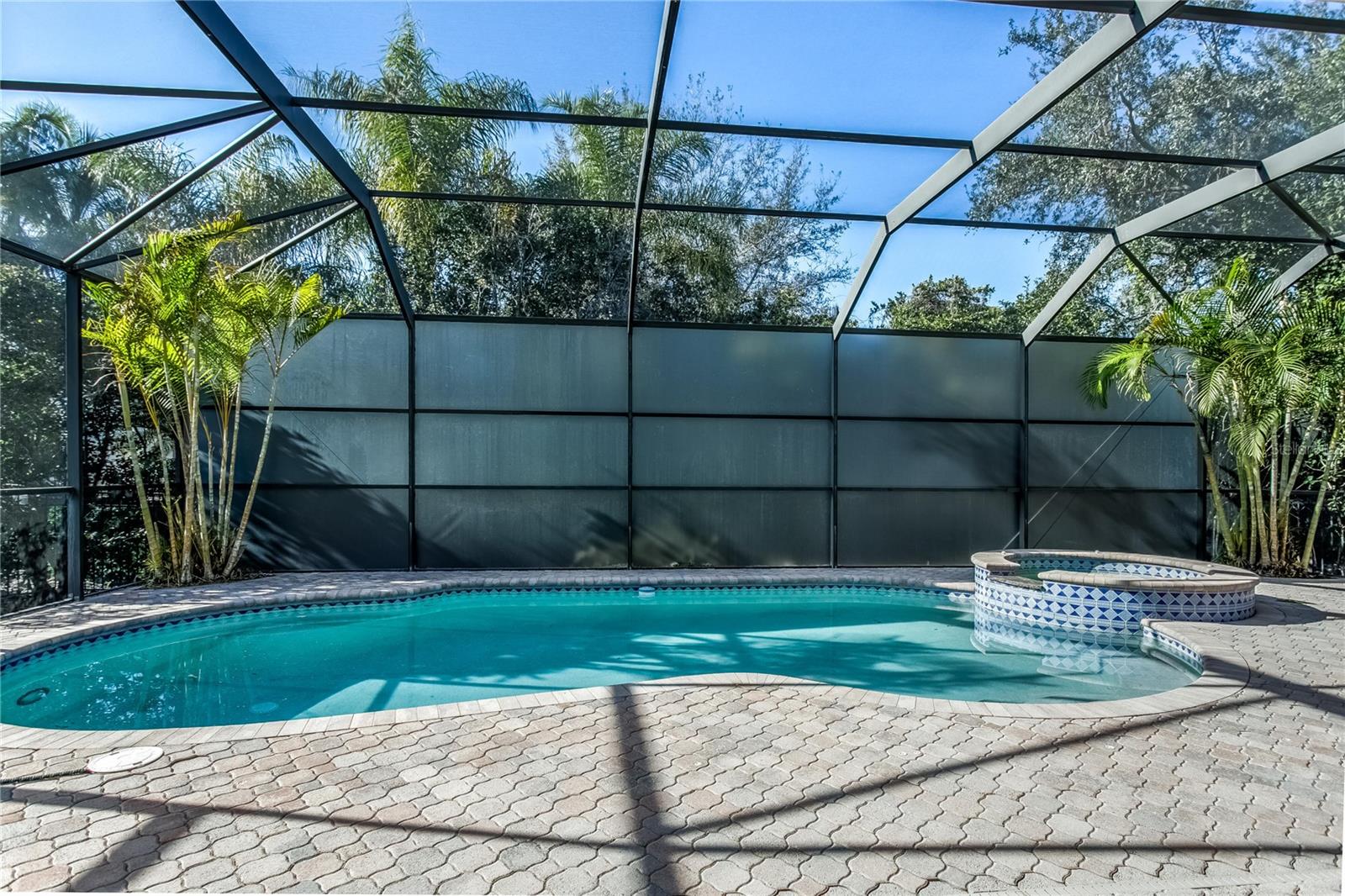 11909 MANDEVILLA CT, TAMPA, FL — photo 26