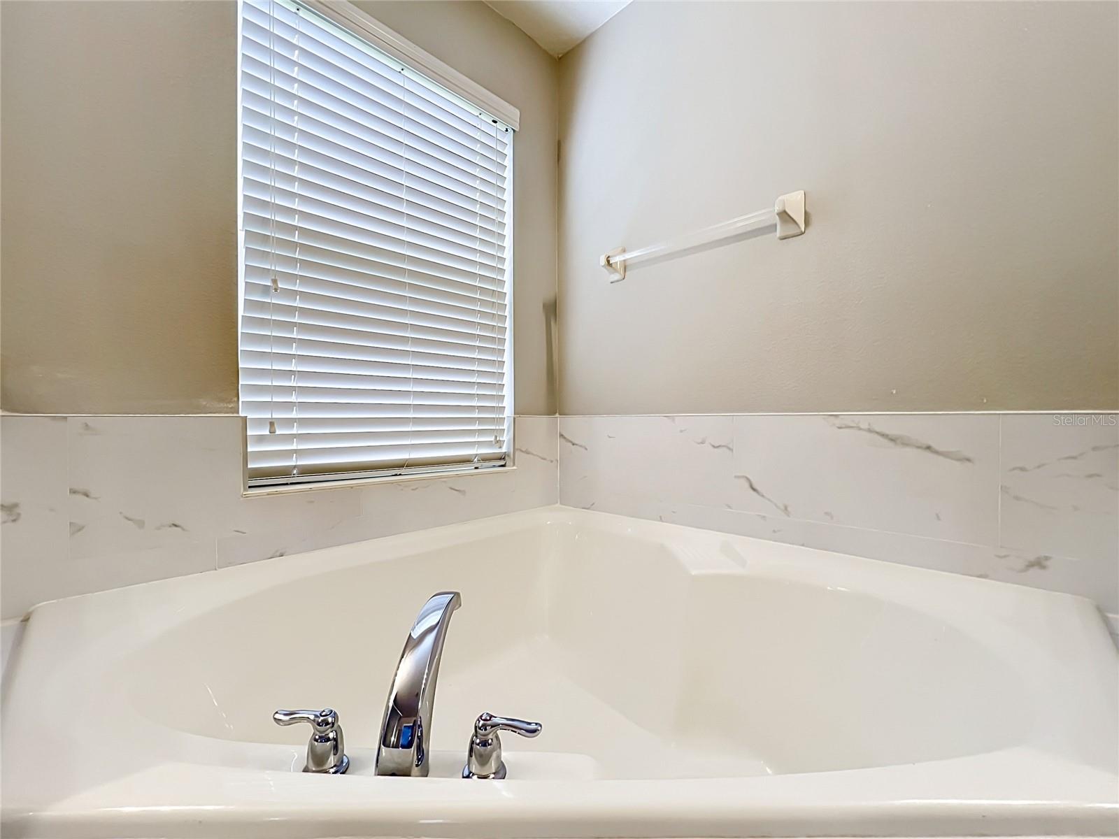 12703 MOSS PARK RIDGE DR, ORLANDO, FL — photo 53
