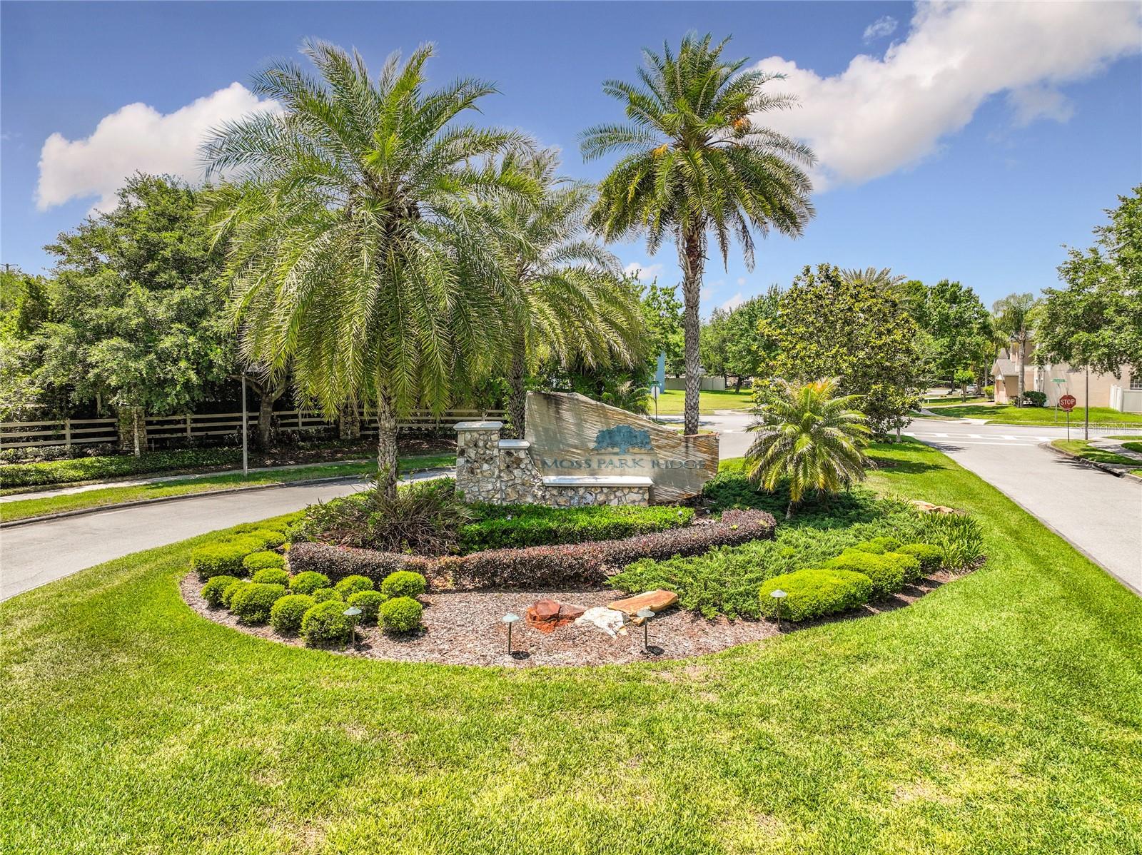 12703 MOSS PARK RIDGE DR, ORLANDO, FL — photo 97
