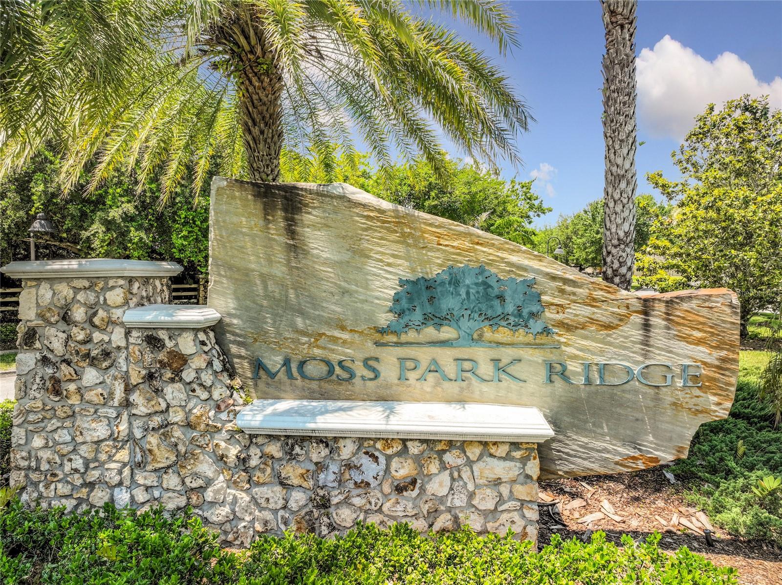 12703 MOSS PARK RIDGE DR, ORLANDO, FL — photo 99