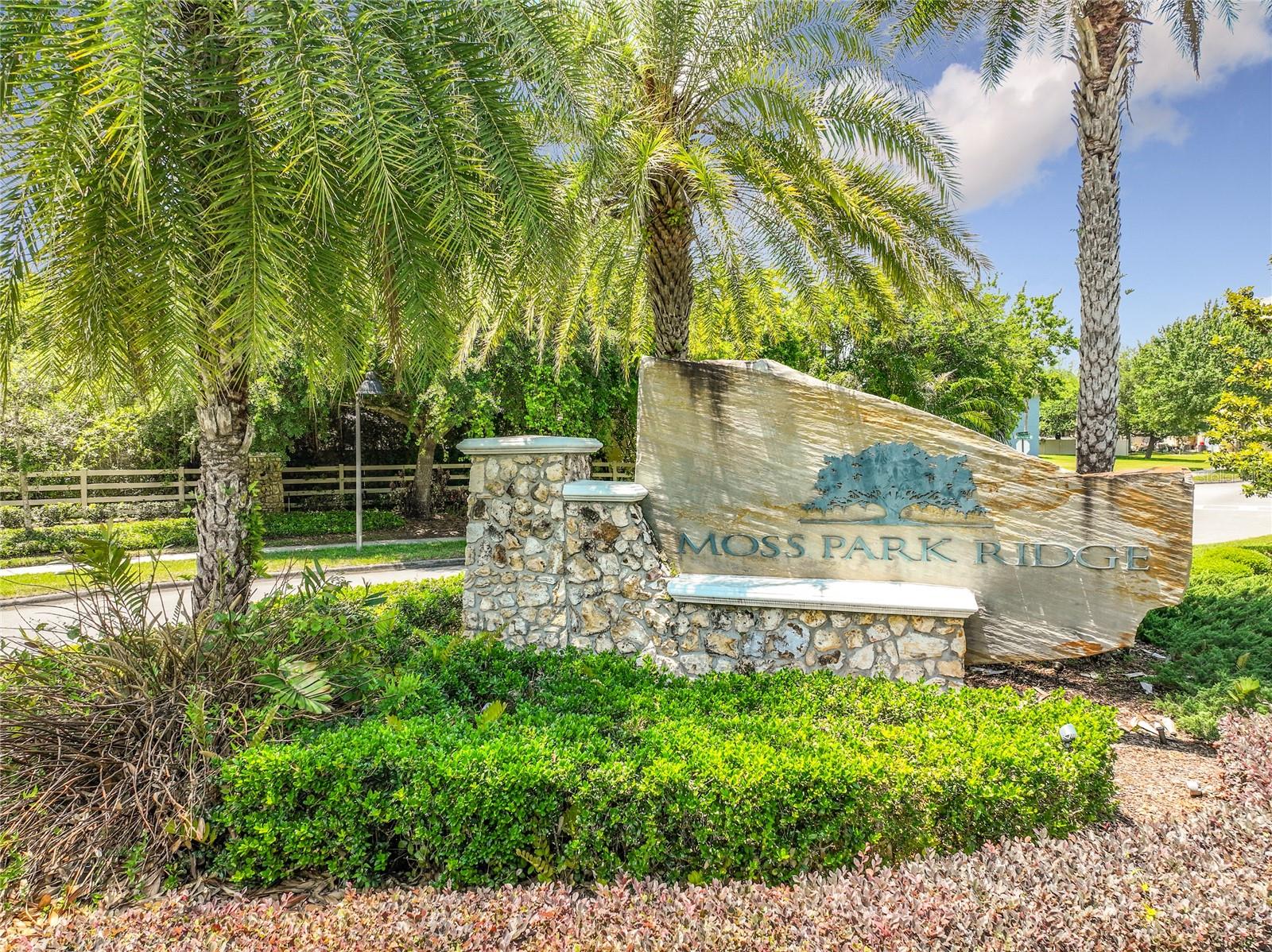 12703 MOSS PARK RIDGE DR, ORLANDO, FL — photo 98