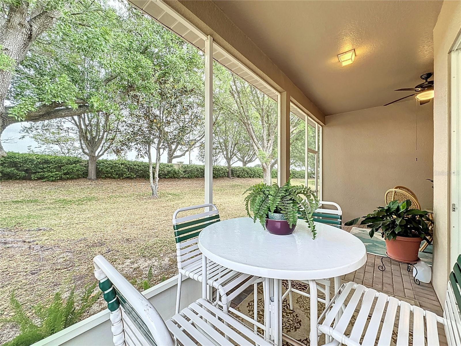 135 CREPE MYRTLE DR, GROVELAND, FL — photo 85