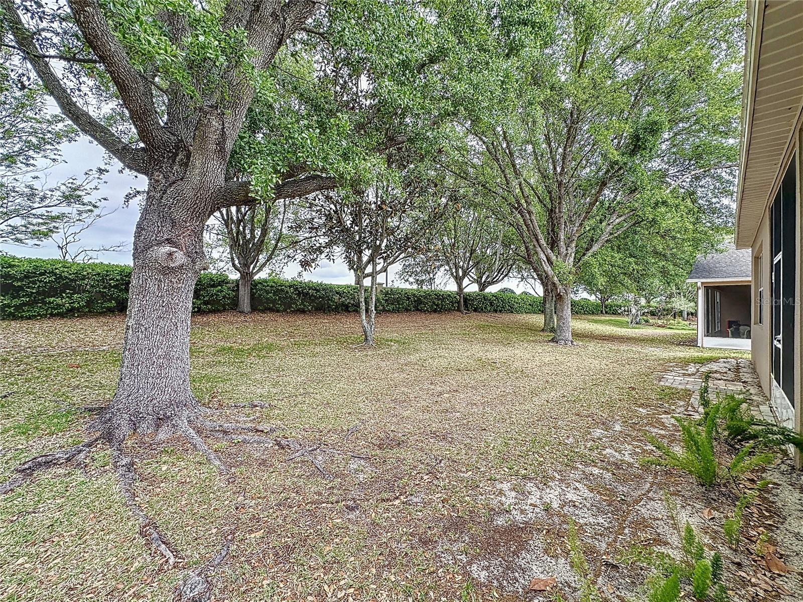 135 CREPE MYRTLE DR, GROVELAND, FL — photo 94