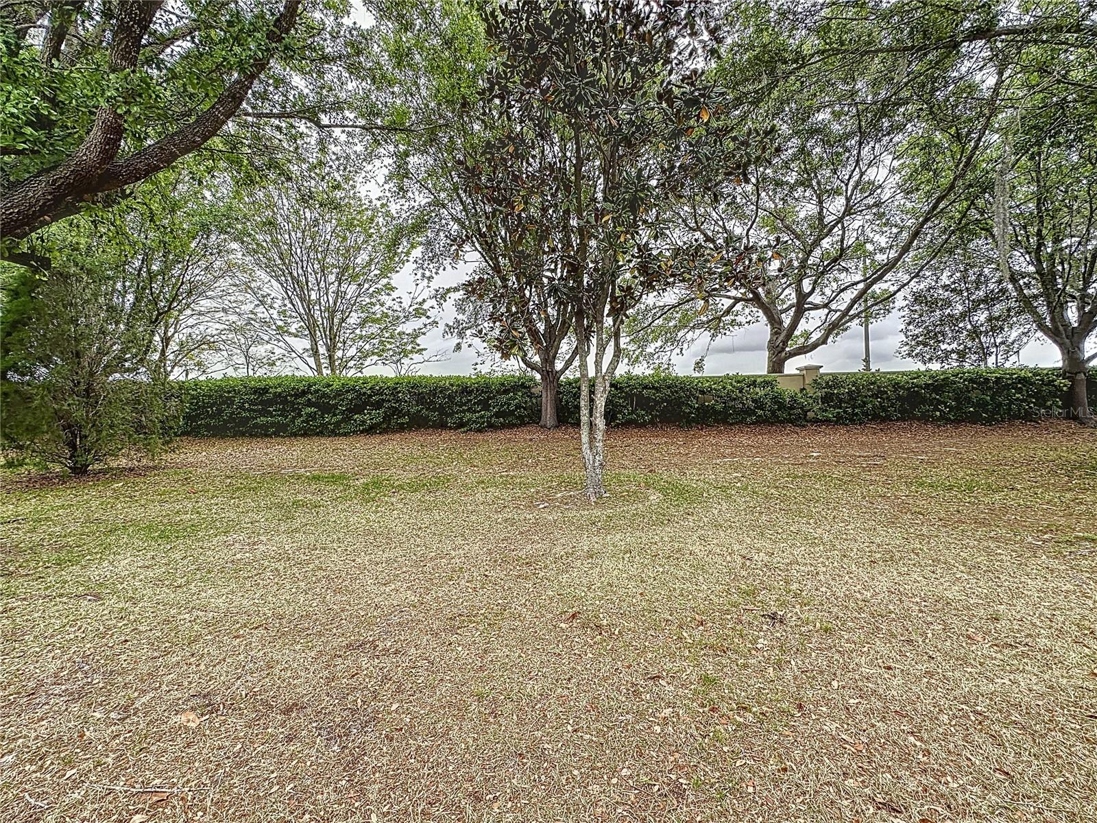 135 CREPE MYRTLE DR, GROVELAND, FL — photo 95